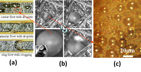 In-situ micro-scale liquid water transport in fuel cells. (a) in flow channel and on gas diffusion layers (GDLs); (b) in GDL; (c) on catalyst layer and reaction site